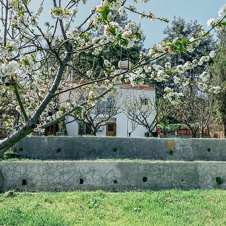 Milea Mansion Villa Limassol Kültér fotó