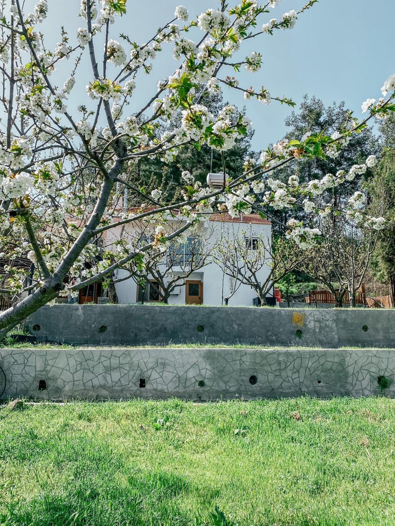 Milea Mansion Villa Limassol Kültér fotó